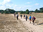 Dagstaptochten Herten spotten op de Veluwe (NL) 